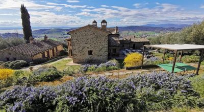 mypethotel il cantico della natura umbria