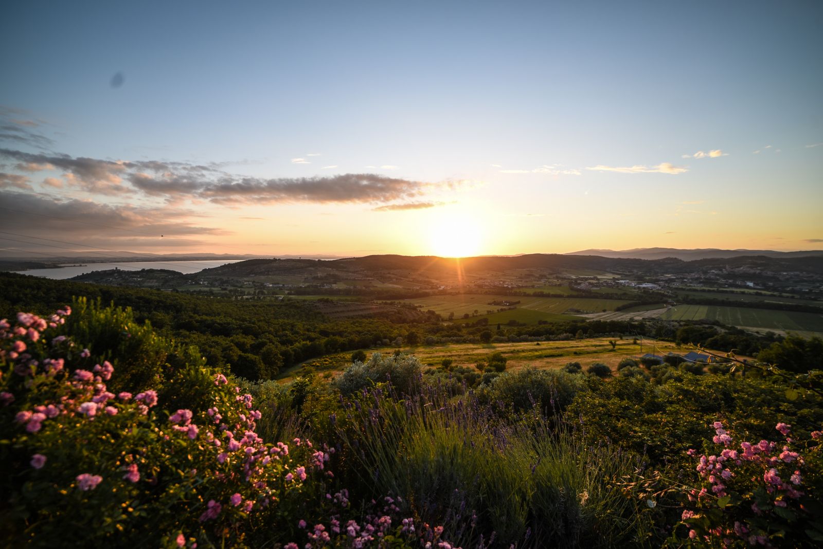 mypethotel il cantico della natura