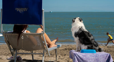 hotel punta nord pet friendly mypethotel