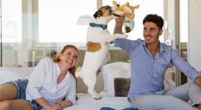 Bau Hotel Pet Friendly Riccione Mypethotel.it