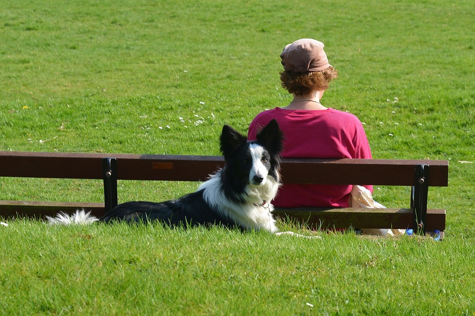 Vacanze animali a Bormio Mypethotel.it