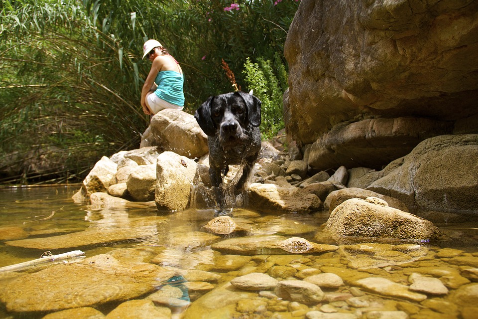 trekking a quattro zampe in Emilia Romagna