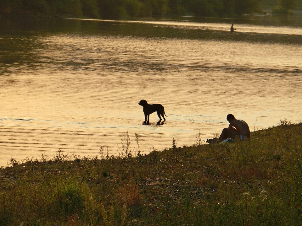 vacanze con il cane in montagna Mypethotel.it