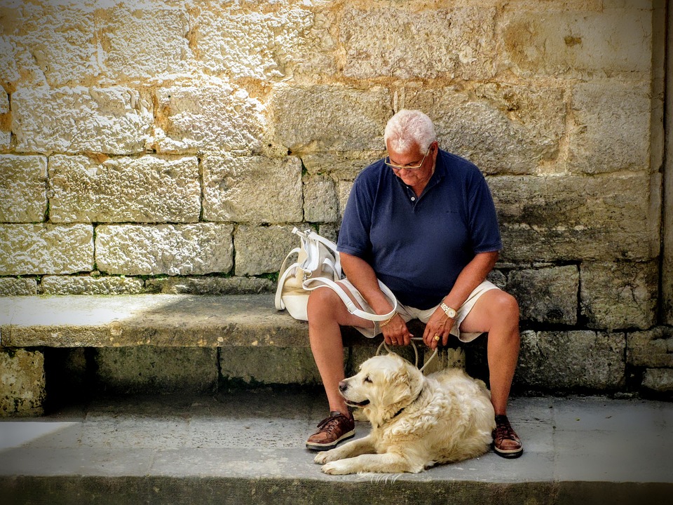 A Lucca in vacanza con il cane Mypethotel.it