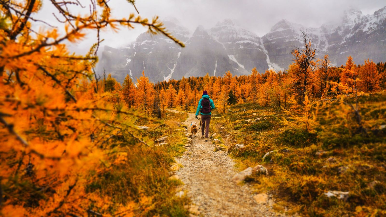 vacanze con il cane Ortisei Val Gardena