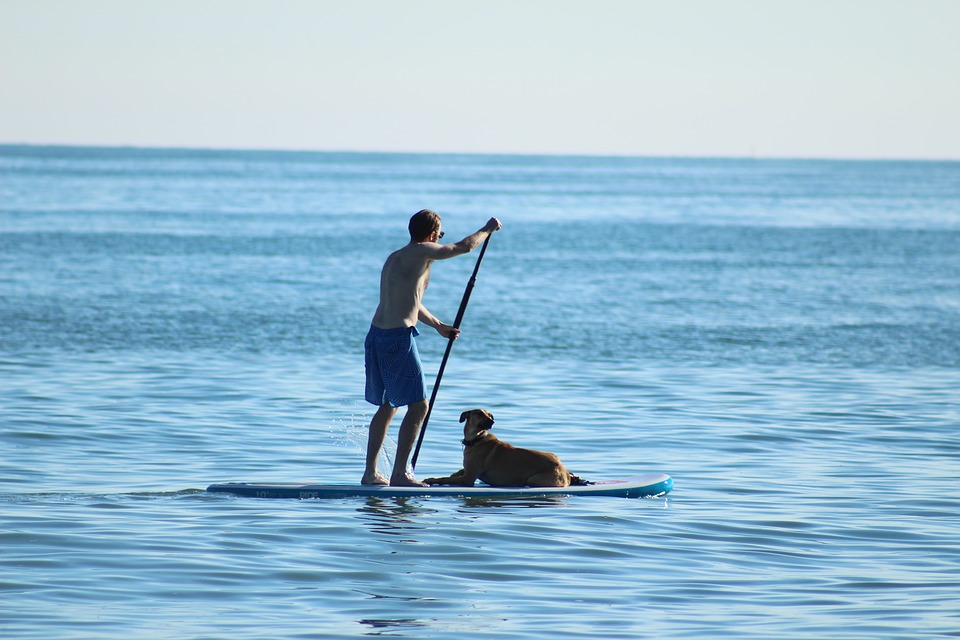 vacanza a quattro zampe in Versilia Mypethotel.it