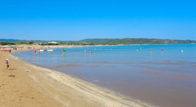 spiaggia pet friendly gargano